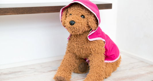 AMACAPA ワンちゃん用